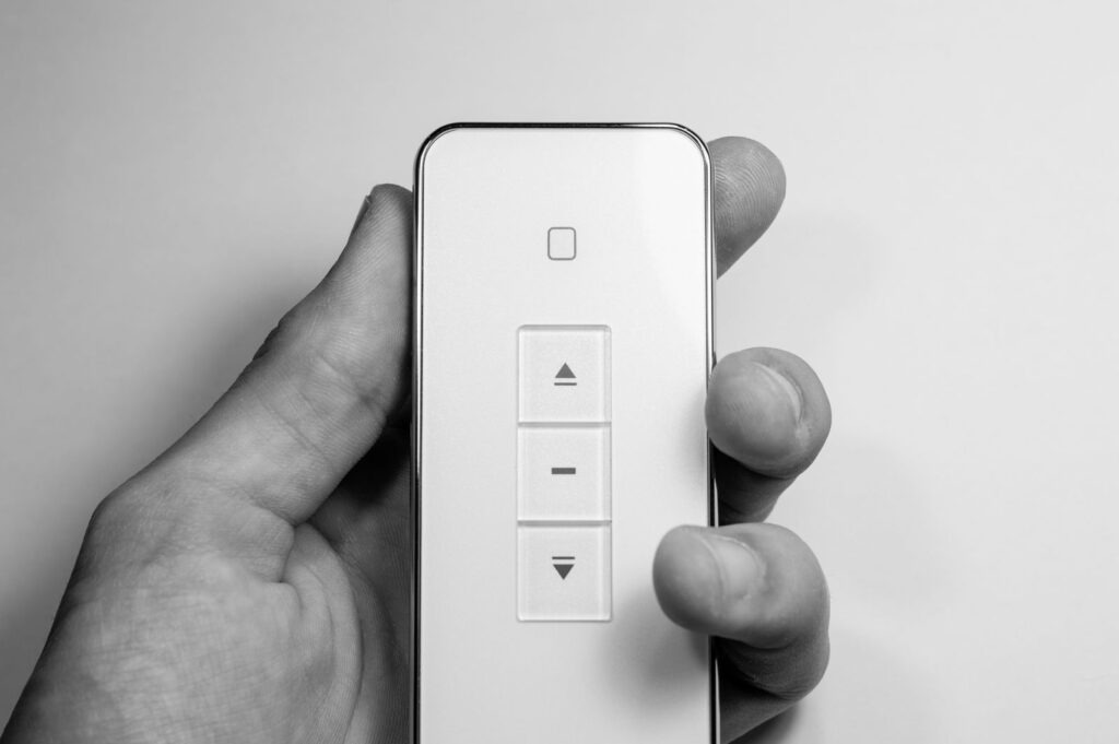 roof window Remote in Hand
